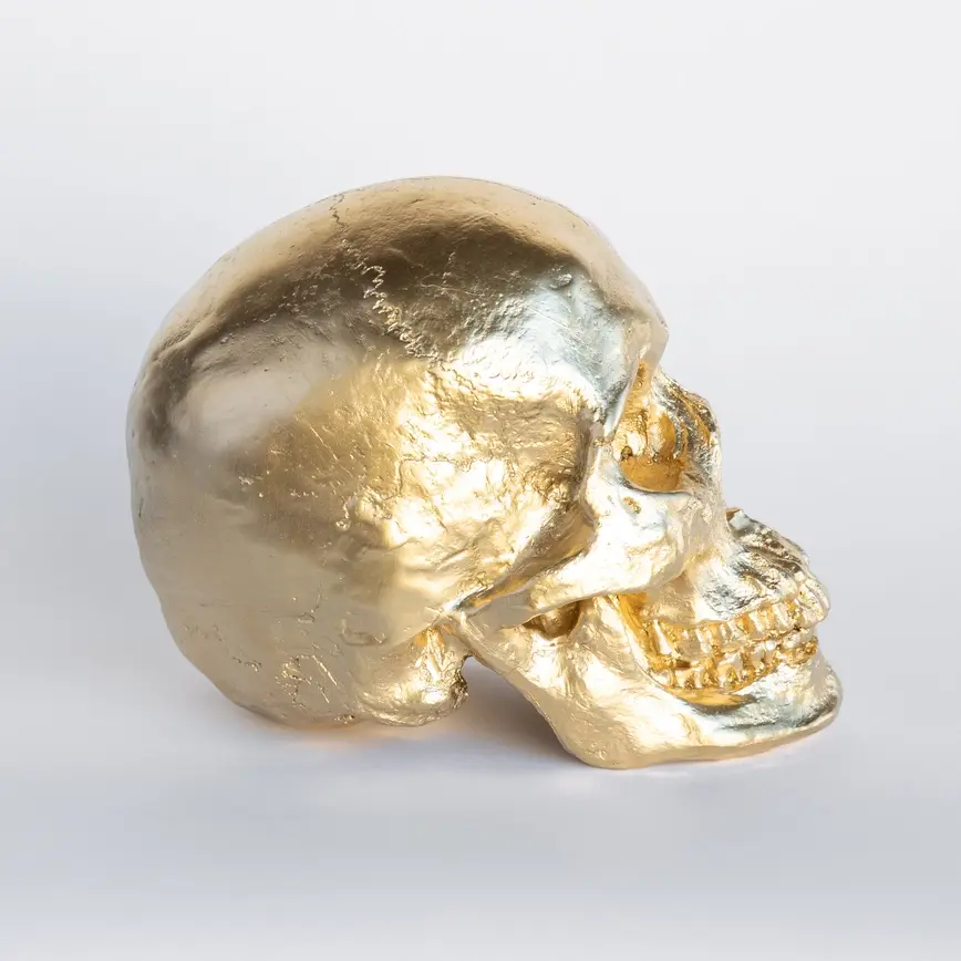 Thumbnail: Fake human skull
