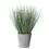Thumbnail: Artificial onion grass