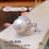 縮圖：Pearl Ring 17mm