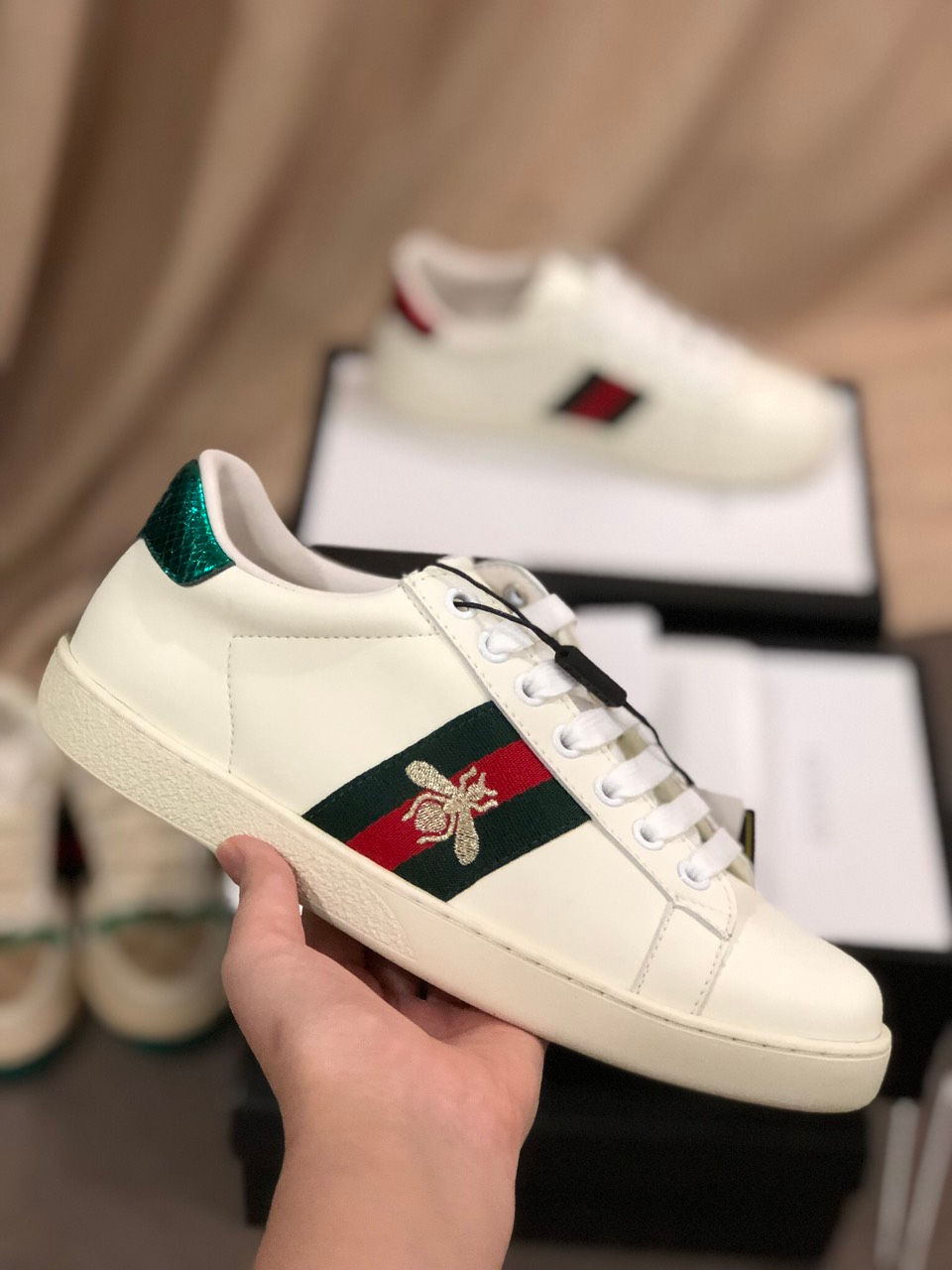 W03 Gucci Ace Ong (SC)