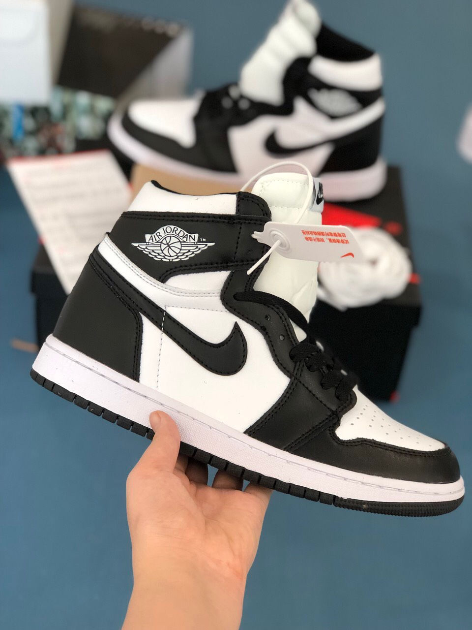 W51 Jordan Panda (SC)