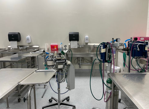 Medical lab room surgery prep area with stainless steel tables