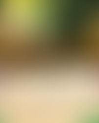 "The Keeper of Secrets" is next in the Midbar Kodesh Temple Book Club