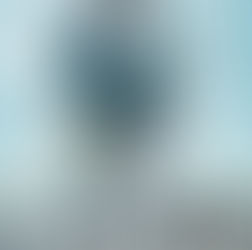 Midbar Kodesh Book Club: A Man Called Ove