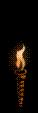 torch reverse.gif