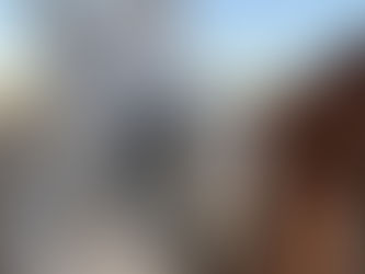 Is Horse Ownership Right for You?