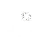 ZISE Logo