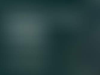 Trading, inversión, 