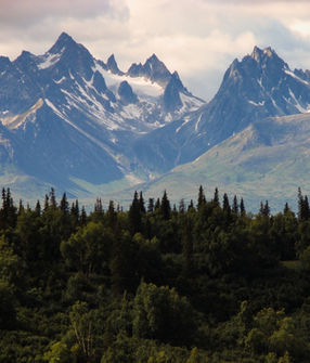 pierre-chatel-innocenti-Lk-nu_hX6ms-unsplash 2.png