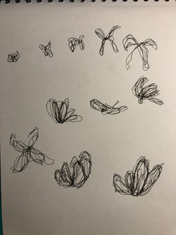 mvt_7
