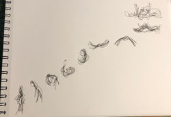 mvt_12