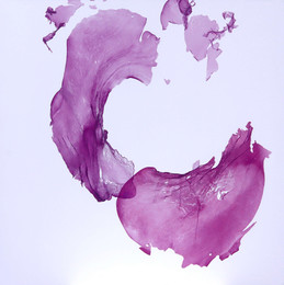 knupp gallery - libor antl - obraz esence zivota 4 120x100 cm.jpeg