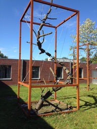 WILL BECKERS - In Dialogue 03