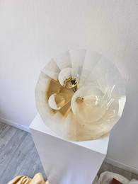 knupp gallery - jan stohanzl - opticke tavene sklo (27).jpeg