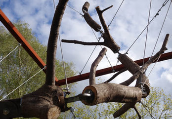 WILL BECKERS - In Dialogue 15