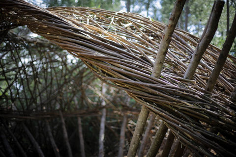 WILL BECKERS - Daydreamer 02