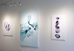 knupp gallery - libor antl - vystava esence zivota praha instalace.jpeg