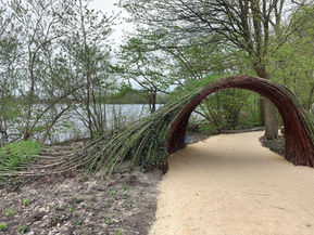 Will Beckers - Green wave 04