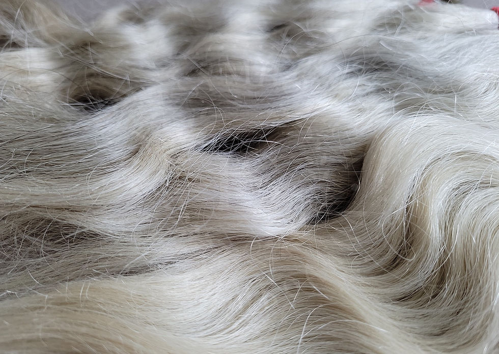 Portrait showing natural grey and silver hair at the temples and crown, illustrating stress-related and age-related melanocyte stem cell depletion patterns