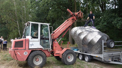 WILL BECKERS - The Wanderer 13