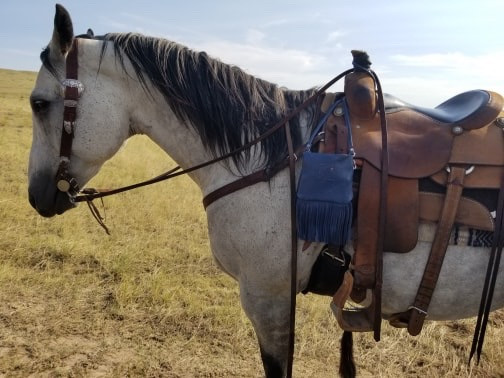 Two Fillies