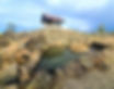 thumbnail_20201216_093124.jpg