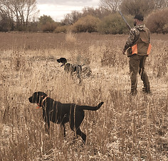 IMG-20241106-WA0046_edited.jpg