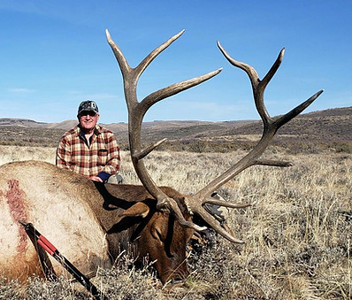 Mark Springer Elk.jpg