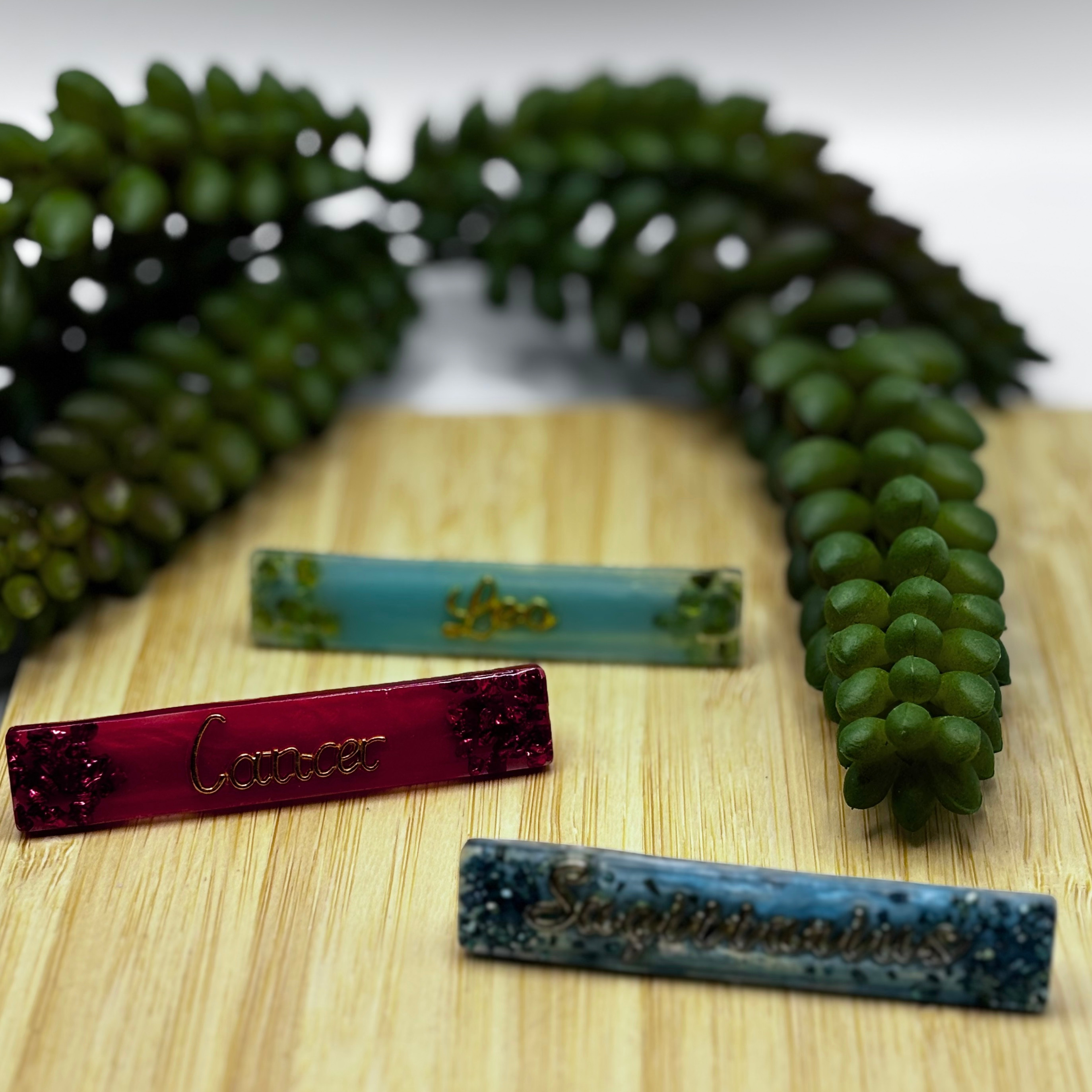 Zodiac Hair Clips