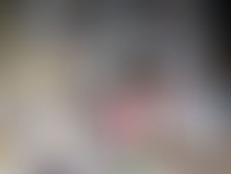 成人本の出張買取承ります!