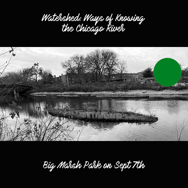 Big Marsh Social Media .png
