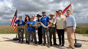 Florida Python Challenge returns with $10,000 prize