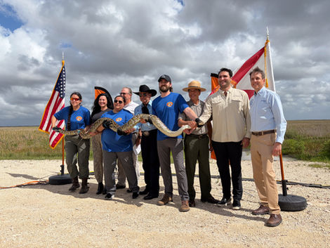 Florida Python Challenge returns with $10,000 prize
