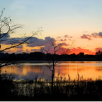 Discover wildlife, archery and nighttime adventures at Okeeheelee Nature Center