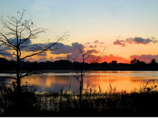 Discover wildlife, archery and nighttime adventures at Okeeheelee Nature Center