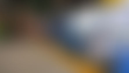 Brightline unveils Freedom Express celebrating America’s 250th anniversary