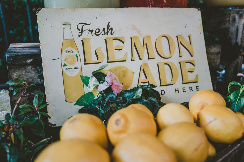 Lemonade Stand Bootcamp expands financial literacy training and entrepreneurship