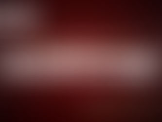 The Breakdown Before the Breakthrough: Seven Day Devotional