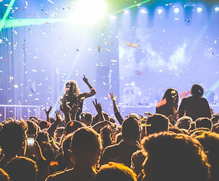 Concert Crowd