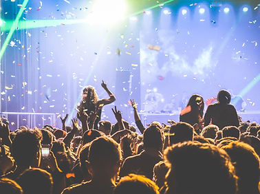 Concert Crowd