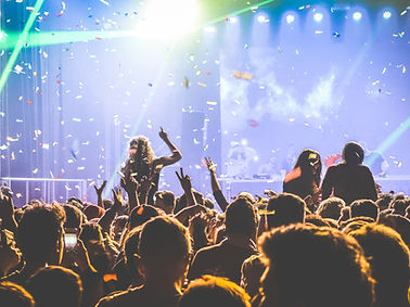 Concert Crowd