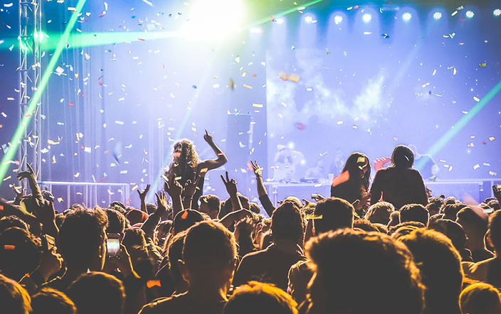 Concert Crowd