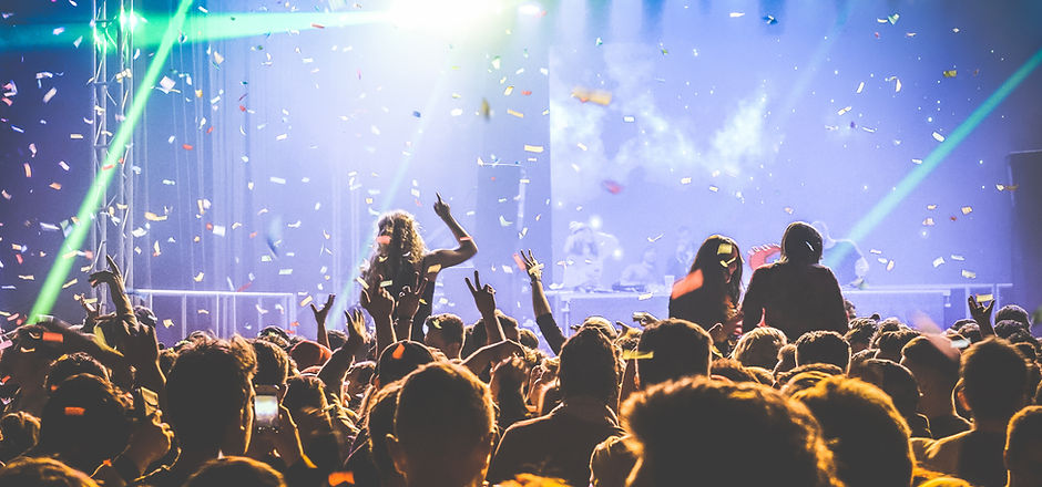Concert Crowd