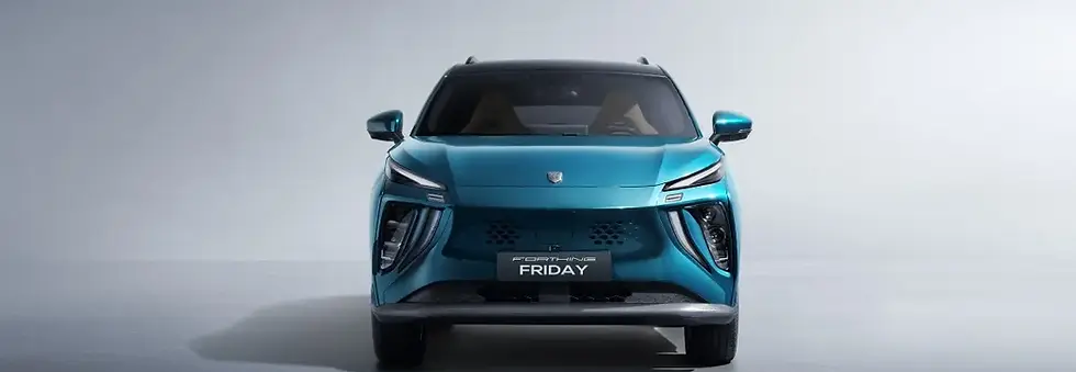 10033 copie.jpg.webp