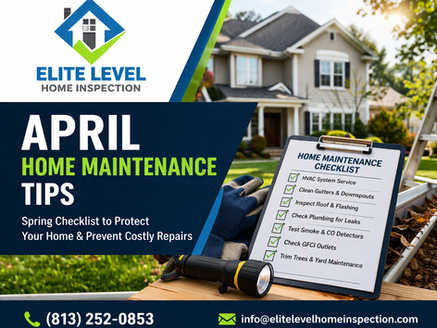 Serving the Tampa Bay Area