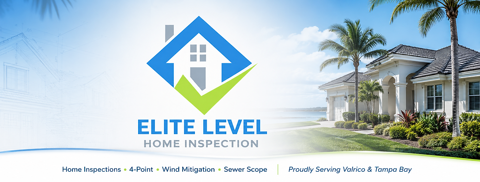 Best Home Inspector Near in Valrico