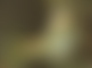 Modern Flute to Baroque Flute - My Personal Journey