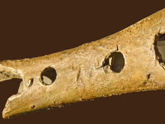 How Old Is The Oldest Instrument?