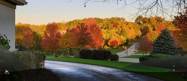 Documents Header.jpg