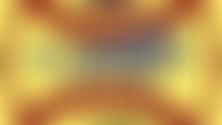 SYC Warriors announces Bull Roast date